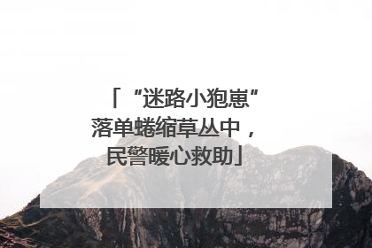 “迷路小狍崽”落单蜷缩草丛中，民警暖心救助