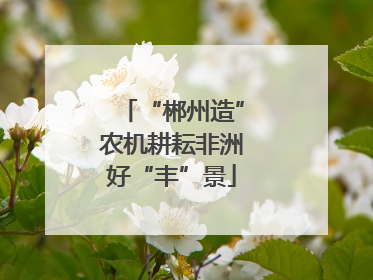 “郴州造”农机耕耘非洲好“丰”景