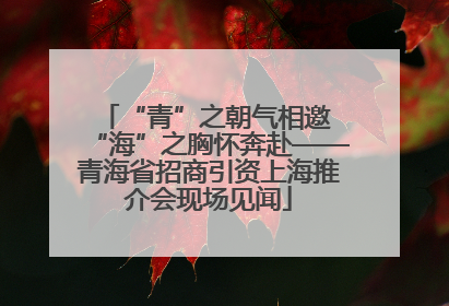“青”之朝气相邀 “海”之胸怀奔赴——青海省招商引资上海推介会现场见闻