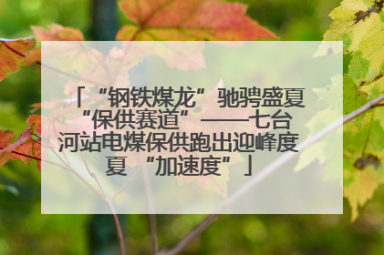 “钢铁煤龙”驰骋盛夏 “保供赛道”——七台河站电煤保供跑出迎峰度夏 “加速度”