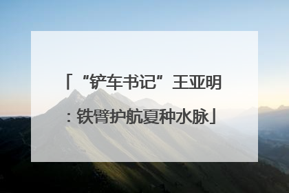 “铲车书记”王亚明：铁臂护航夏种水脉