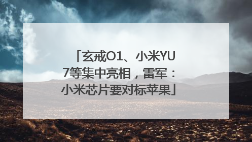 玄戒O1、小米YU7等集中亮相，雷军：小米芯片要对标苹果