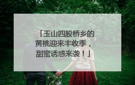 玉山四股桥乡的黄桃迎来丰收季，甜蜜诱惑来袭！