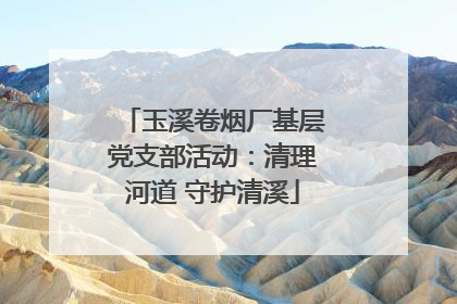 玉溪卷烟厂基层党支部活动：清理河道 守护清溪