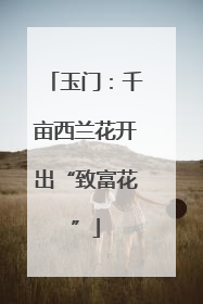 玉门：千亩西兰花开出“致富花”