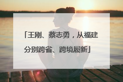 王刚、蔡志勇，从福建分别跨省、跨境履新