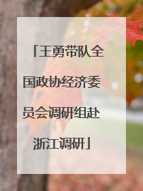 王勇带队全国政协经济委员会调研组赴浙江调研