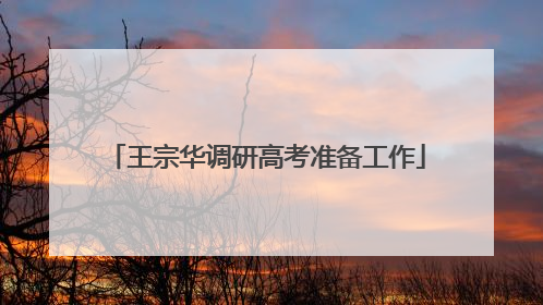 王宗华调研高考准备工作