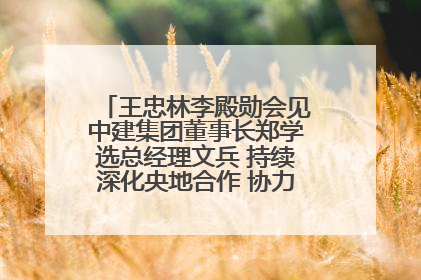 王忠林李殿勋会见中建集团董事长郑学选总经理文兵 持续深化央地合作 协力推动支点建设