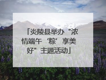 炎陵县举办“浓情端午‘粽’享美好”主题活动