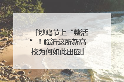 炒鸡节上“整活”！临沂这所新高校为何如此出圈