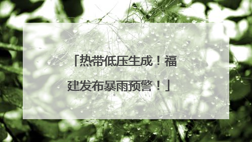 热带低压生成！福建发布暴雨预警！