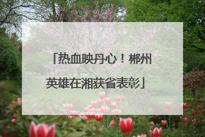 热血映丹心！郴州英雄在湘获省表彰