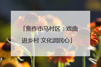 焦作市马村区：戏曲进乡村 文化润民心