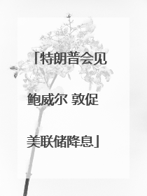 特朗普会见鲍威尔 敦促美联储降息