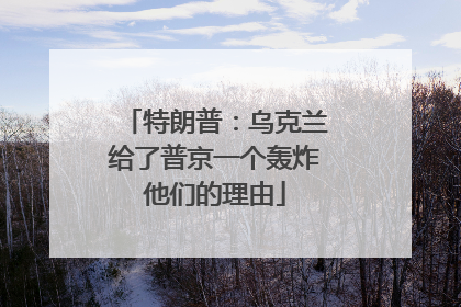特朗普：乌克兰给了普京一个轰炸他们的理由