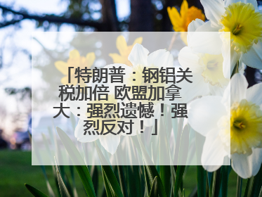特朗普：钢铝关税加倍 欧盟加拿大：强烈遗憾！强烈反对！