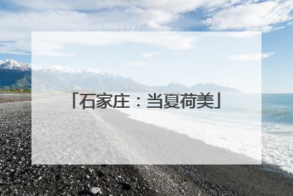 石家庄：当夏荷美
