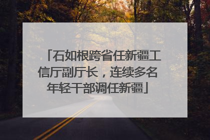 石如根跨省任新疆工信厅副厅长，连续多名年轻干部调任新疆