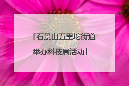 石景山五里坨街道举办科技周活动