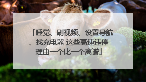 睡觉、刷视频、设置导航、找充电器 这些高速违停理由一个比一个离谱