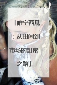 睢宁西瓜：从田间到市场的甜蜜之路
