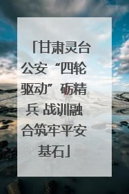 甘肃灵台公安“四轮驱动”砺精兵 战训融合筑牢平安基石