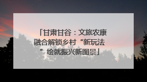 甘肃甘谷：文旅农康融合解锁乡村“新玩法”绘就振兴新图景