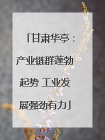 甘肃华亭：产业链群蓬勃起势 工业发展强劲有力