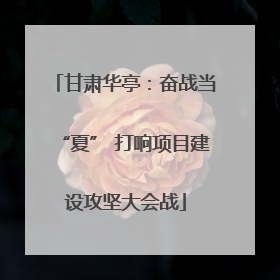 甘肃华亭：奋战当“夏” 打响项目建设攻坚大会战