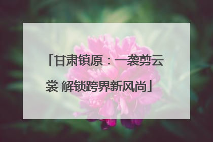 甘肃镇原：一袭剪云裳 解锁跨界新风尚