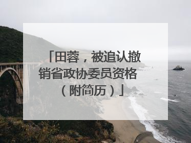 田蓉，被追认撤销省政协委员资格（附简历）