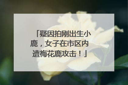 疑因拍刚出生小鹿，女子在市区内遭梅花鹿攻击！