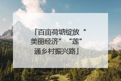 百亩荷塘绽放“美丽经济”“莲”通乡村振兴路