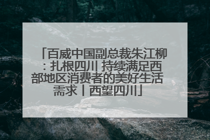 百威中国副总裁朱江柳：扎根四川 持续满足西部地区消费者的美好生活需求丨西望四川