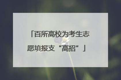 百所高校为考生志愿填报支“高招”
