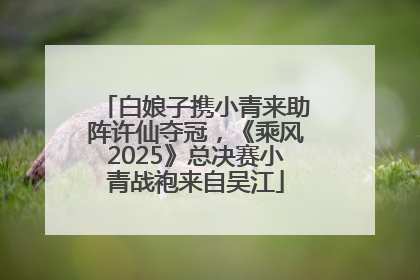 白娘子携小青来助阵许仙夺冠，《乘风2025》总决赛小青战袍来自吴江