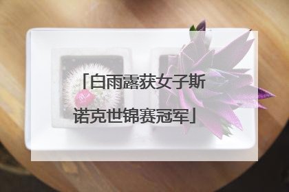 白雨露获女子斯诺克世锦赛冠军