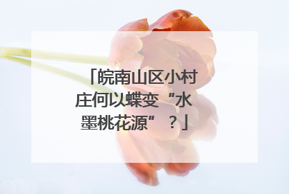 皖南山区小村庄何以蝶变“水墨桃花源”？