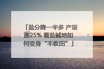 盐分降一半多 产量涨25% 看盐碱地如何变身“丰收田”