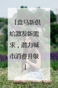 盒马新供给激发新需求，潜力城市消费升级