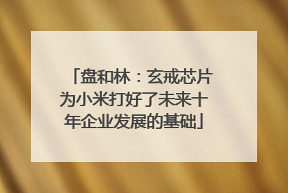 盘和林：玄戒芯片为小米打好了未来十年企业发展的基础