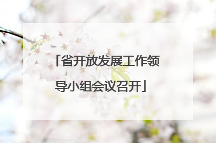 省开放发展工作领导小组会议召开