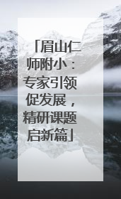 眉山仁师附小：专家引领促发展，精研课题启新篇