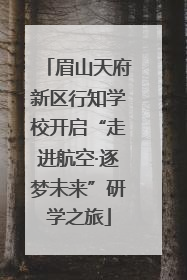 眉山天府新区行知学校开启“走进航空·逐梦未来”研学之旅
