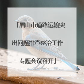 眉山市道路运输突出问题排查整治工作专题会议召开