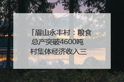 眉山永丰村：粮食总产突破4600吨 村集体经济收入三年倍增｜牵挂的村