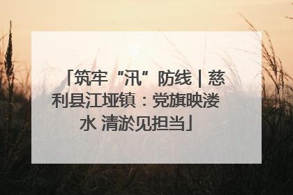 筑牢“汛”防线｜慈利县江垭镇：党旗映溇水 清淤见担当