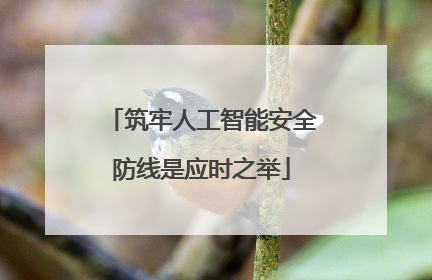 筑牢人工智能安全防线是应时之举
