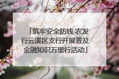 筑牢安全防线 农发行云溪区支行开展普及金融知识万里行活动